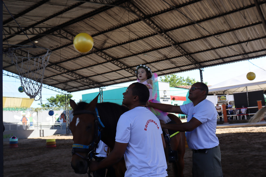 Governo do Estado vai implantar um Centro de Equoterapia em Floriano