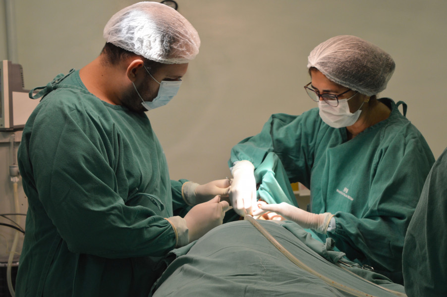 Seid e Hospital da Polícia vão realizar mutirão de cirurgias odontológicas nesta quinta (02)