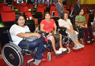 Dia da Pessoa com Deficiência é marcado por sessão solene na Alepi